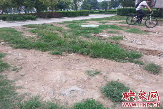 公園內(nèi)大片草坪遭到破壞。