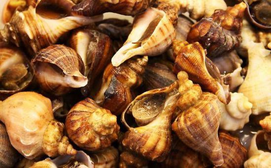 秋季最適合吃的海鮮是這10種 你吃對(duì)了嗎？