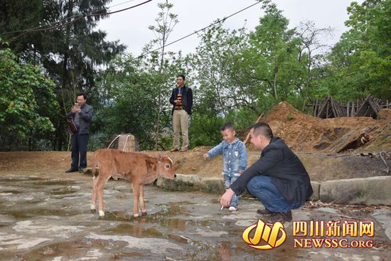 村里人知道后，前來看熱鬧