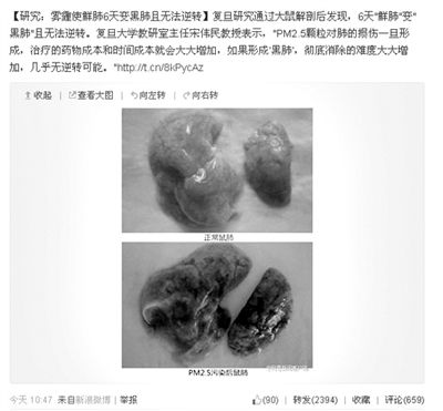 昨天，一則“霧霾使鮮肺6天變黑肺”的新聞在網(wǎng)上引發(fā)熱議。網(wǎng)絡(luò)截圖