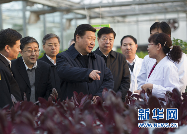  27日下午，習(xí)近平在山東省農(nóng)業(yè)科學(xué)院智能化溫室了解農(nóng)業(yè)科技創(chuàng)新情況。