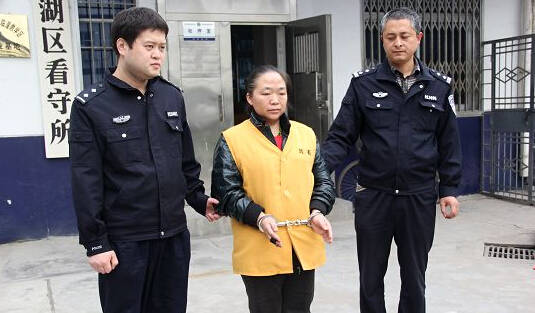 被抓的王某，網(wǎng)友稱：這不是大明湖畔的容嬤嬤么