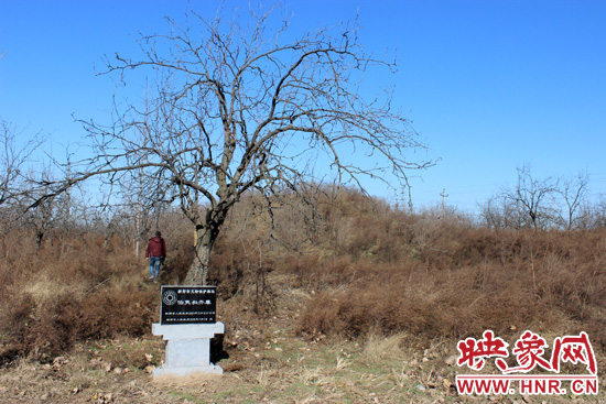 在叔齊墓的前面，豎著新鄭市人民政府今年剛立的石碑，上面寫著“新鄭市文物保護(hù)單位”。