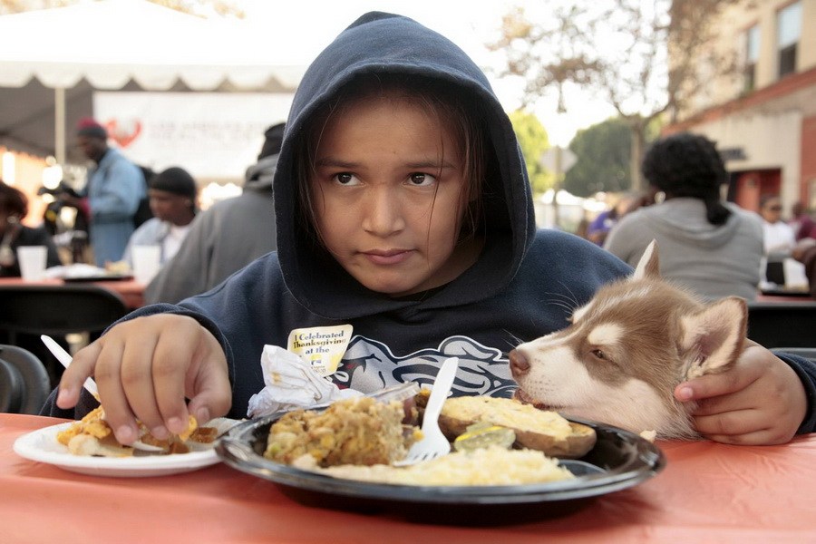 11月21日，加州洛杉磯的游民巷，12歲的堂娜·赫南德茲抱著愛犬“湯米”，安靜地吃著免費的感恩節(jié)飯菜