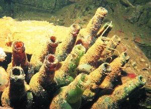 長(zhǎng)滿水藻的日本清酒瓶。