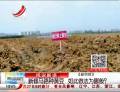 新修馬路種黃豆  如此做法為哪般？