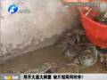 鄭開大道大閘蟹 缺斤短兩何時(shí)休？